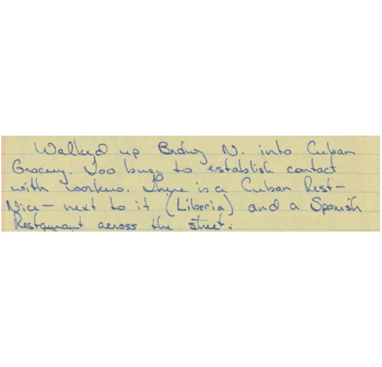 Fieldnotes George1977