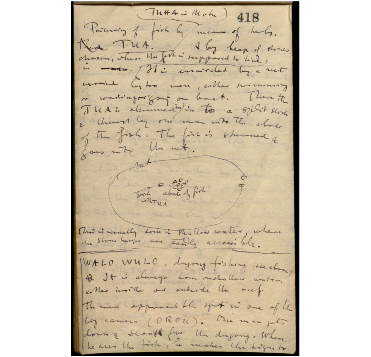 Fieldnotes Malinowski