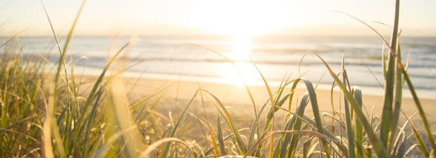 The CDS Summer Training Week 2025: looking back and useful materials going forward
