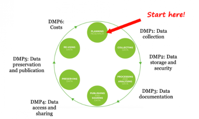 Data life cycle dmp steps