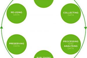 Data life cycle model UK Data Archive