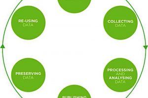 Data life cycle model UK Data Archive